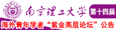 免费操比南京理工大学第十四届海外青年学者紫金论坛诚邀海内外英才！